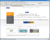 Tela falsa ! veja URL, não é da Visa.